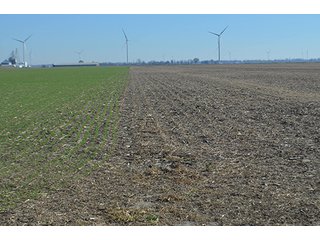Tract 3 - FARMLAND AUCTION - 165.5+/- ACRES OFFERED IN 5 TRACTS OR COMBINATIONS IN EAST ALLEN COUNTY